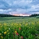 avis location mobil homewebp